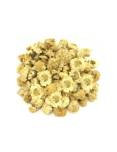 Camomille Romaine capitule floral trié entier 100gr