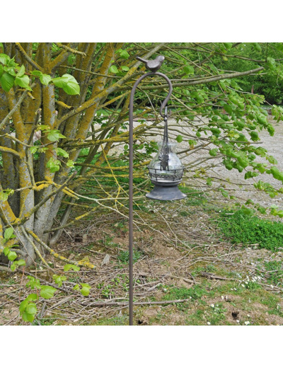 Tuteur crochet oiseau 6x12x155cm