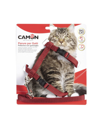 Harnais + Laisse pour grands chats