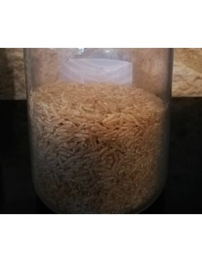 Riz Tilta Basmati bio