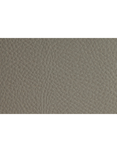 Gladiator Pierre Simili cuir laize 137cm 200000 tours martindale M2