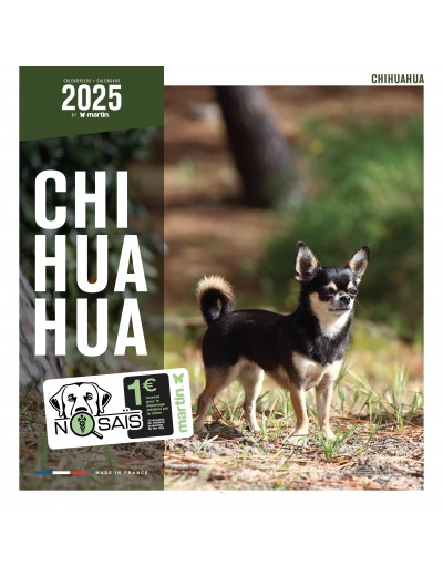 Calendrier chien 2025 - Chihuahua - Martin