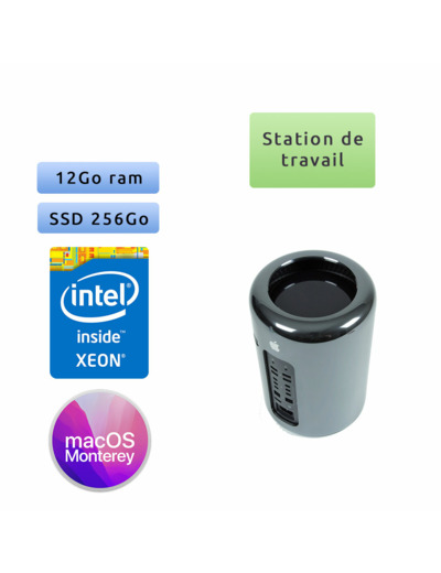 Apple Mac Pro Quad Core Xeon 3.7Ghz A1481 (EMC 2630) 12Go 256Go SSD - MacPro6,1 - 2013 - Station de Travail