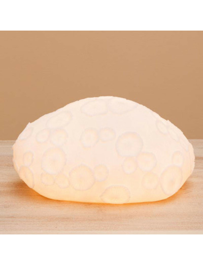 Lampe à poser corail fossile 31x16x25cm