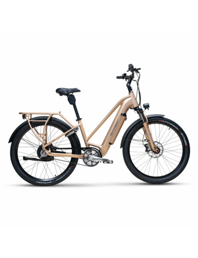 Vélo électrique Starway SUV Gold Equi-Motion