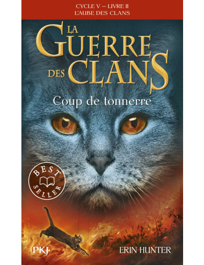 LA GUERRE DES CLANS CYCLE V - TOME 2 COUP DE TONNERRE - VOL02