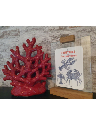Carte Crustacés des côtes Bretonnes