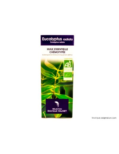Huile Essentielle Eucalyptus Radiata Bio 10ml