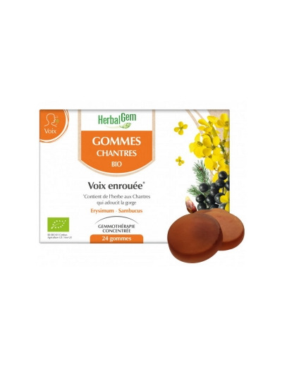Gommes Chantres Voix enrouée Miel Citron x24