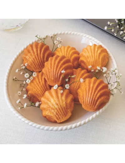 PLAQUE MADELEINE COQUILLAGES
