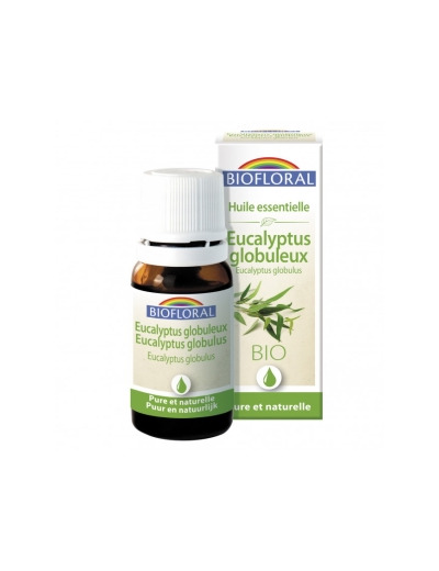 Eucalyptus globuleux 10ml