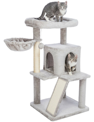 Arbre à chat, JR PEPITO - 48 x 48 cm