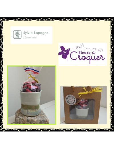 La Tasse Gourmande 🌸