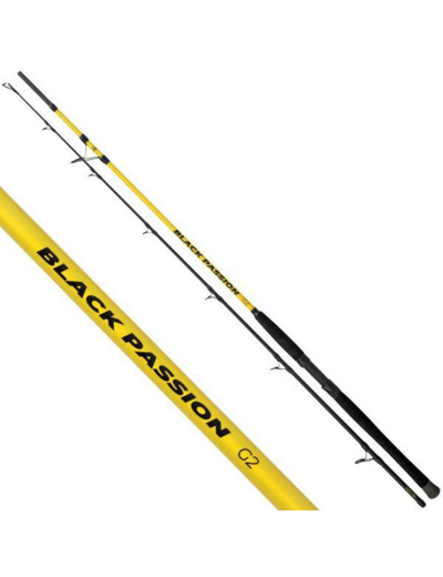 canne passion G2 spin 2.7m