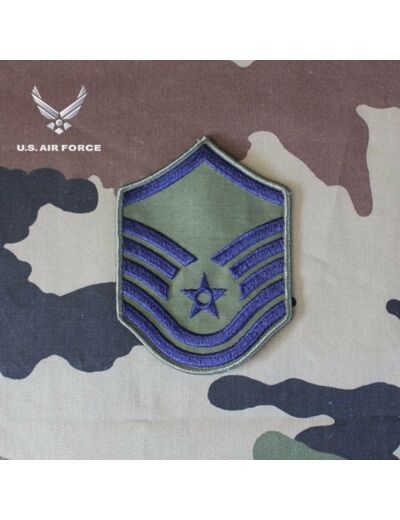 Badge de bras US Air Force (1 paire)