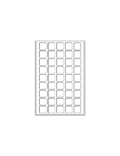 PLATEAU L BLEU 45 CASES POUR PLAQUES MUSELET ou MONNAIES 317701