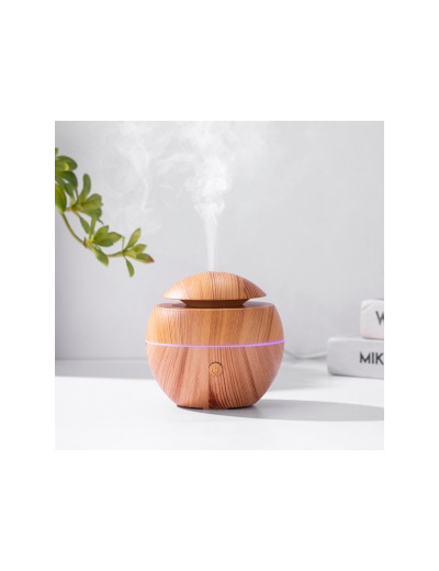 Diffuseur d'huiles essentielles ultrasonique USB rond ANY