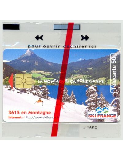 TELECARTE NSB 50 UNITES 06/97 SKI FRANCE F731A