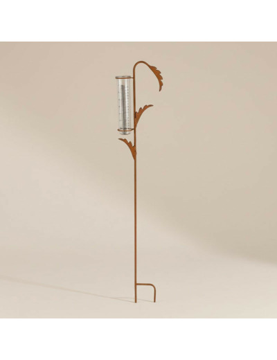 Pluviomètre jardin plante 17x6x100cm