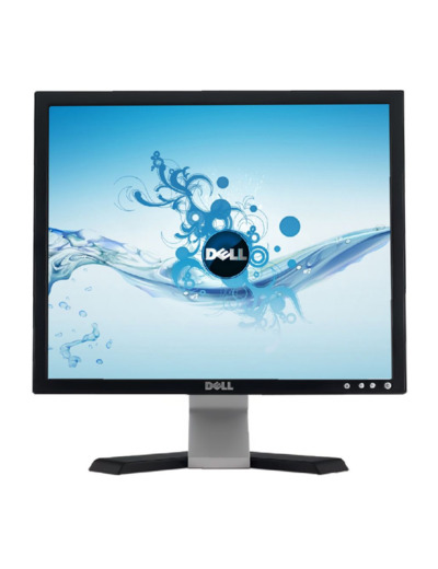 Dell E198FP - LCD 19 - Ecran