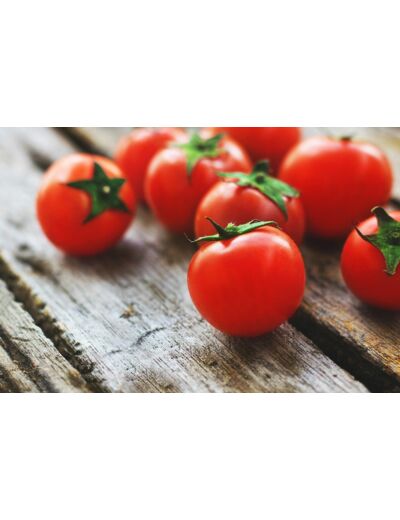 Tomates Rondes BIO (1kg)