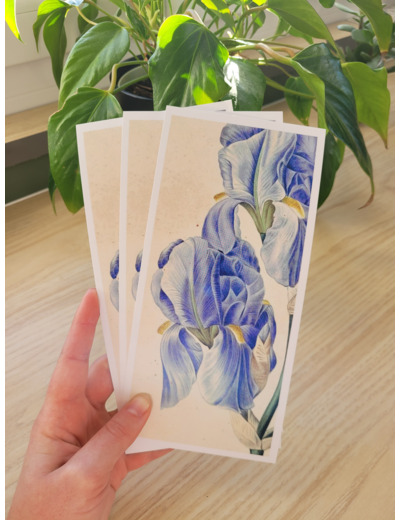 Carte fleur de naissance - Février