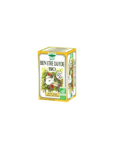 Tisane bien être du foie Bio-20 sachets-Romon Nature