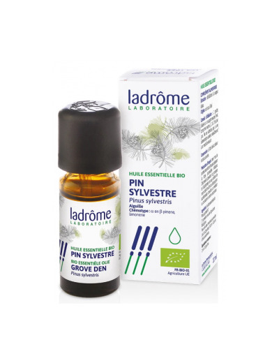 Pin sylvestre Bio 10ml