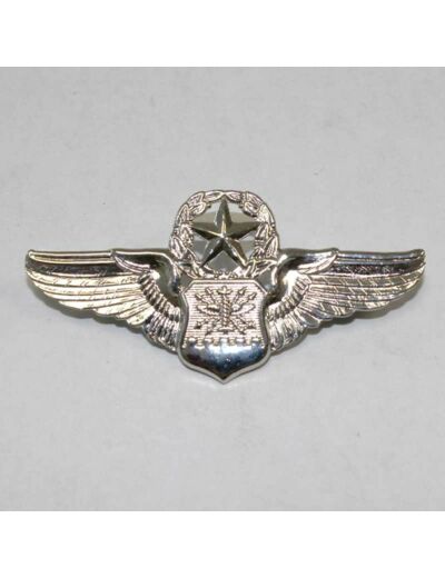 Insigne US Air Force commandant navigateur