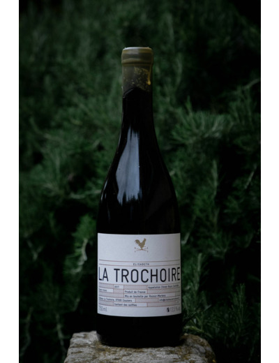 La Trochoire 2019. Chinon blanc