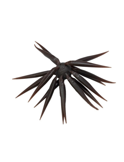 coike fish M elastomer hide up