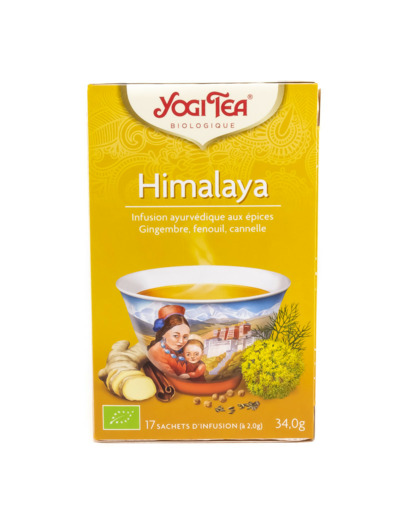 Infusion Ayurvédique aux Épices Himalaya Bio 17 sachets