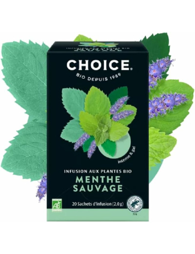 Infusion menthe sauvage 20x2g Choice