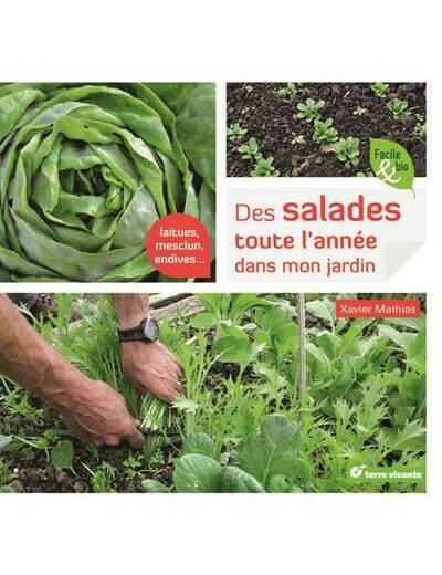 Des salades toute l'année dans mon jardin