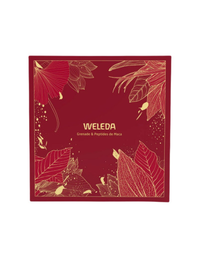 Coffret Grenade Noel