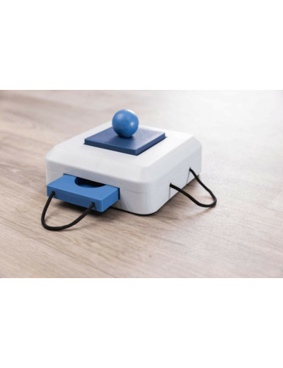 TRIXIE, Jeu de stratégie pour chien - Dimensions: 15 × 15 cm