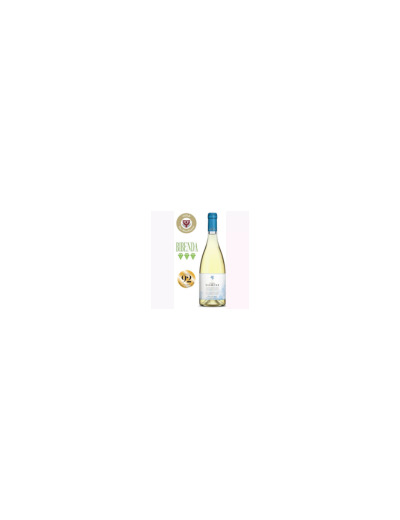 Vins Blanc Domini 750ml