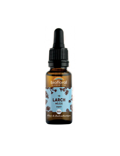 Fleur De Bach Elixir Larch n°19 Mélèze 20ml