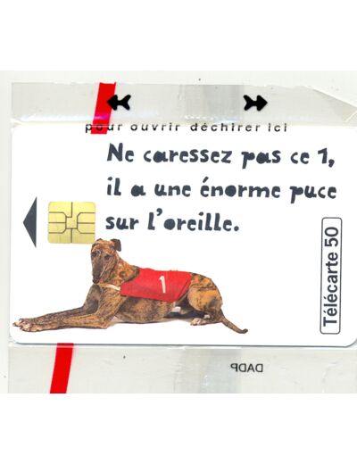 TELECARTE NSB 50 UNITES 06 /98 LOTO CHIEN LEVRIER F 886