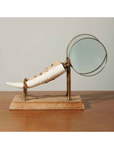 Ensemble 2 loupes cornes sur support 16x31x8cm