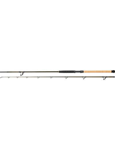 canne elite bank 2.8m 180-300gr