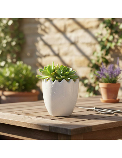 Pot fleurs coquille d'œuf céramique blanc 7x8cm