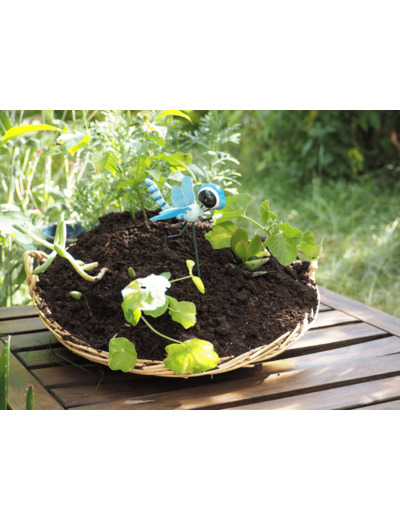 Lombricompost / Compost Local