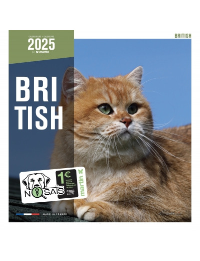 Calendrier chat 2025 - British - Martin