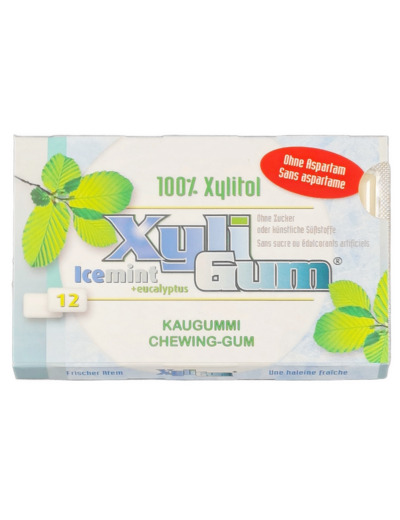 12 Chewing Gum Goût Menthe 17 g