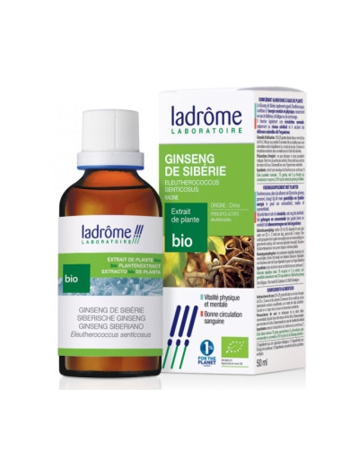 Extrait de plantes fraîches Ginseng de Sibérie (Eleuthérocoque) 50ml