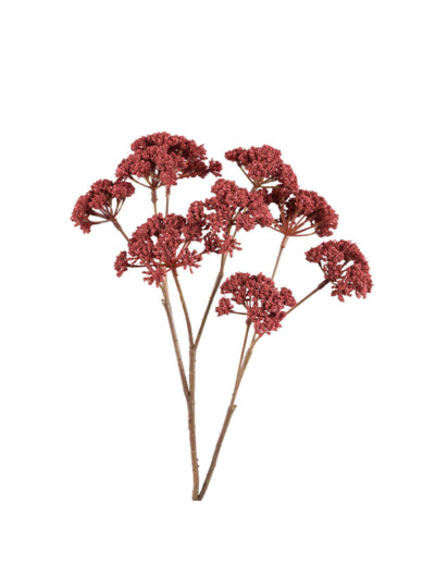 Tige Artificielle Fleur de Fenouil Bordeaux en Polyester 58cm