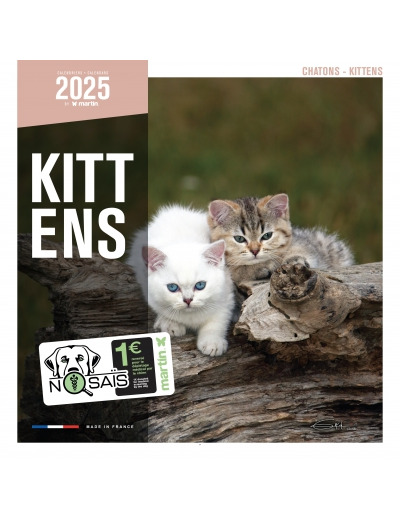 Calendrier 2025 - Chatons - Martin