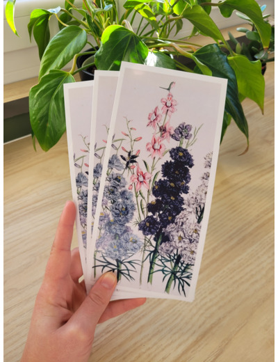 Carte fleur de naissance - Juillet