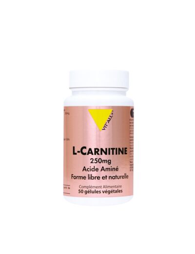 L-carnitine 250mg-50 gélules-Vit'all+
